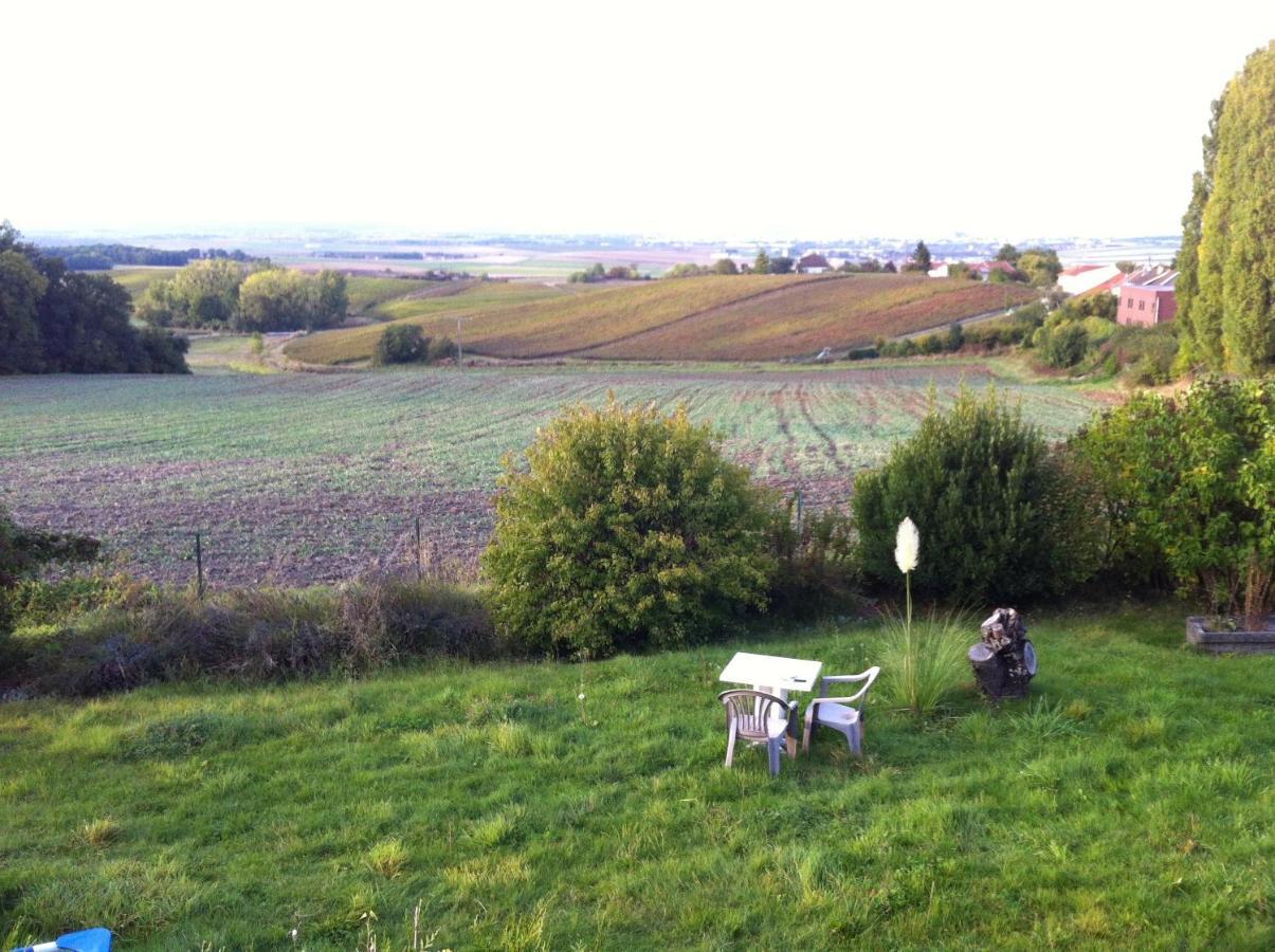 Villa Reims Epernay Champagne Vineyard Villers-Allerand Exterior photo